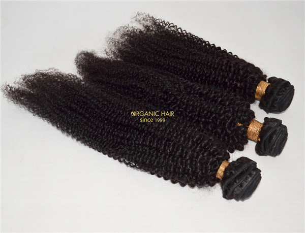  Afro kinky curly brazilian remy hair extensions for black women 